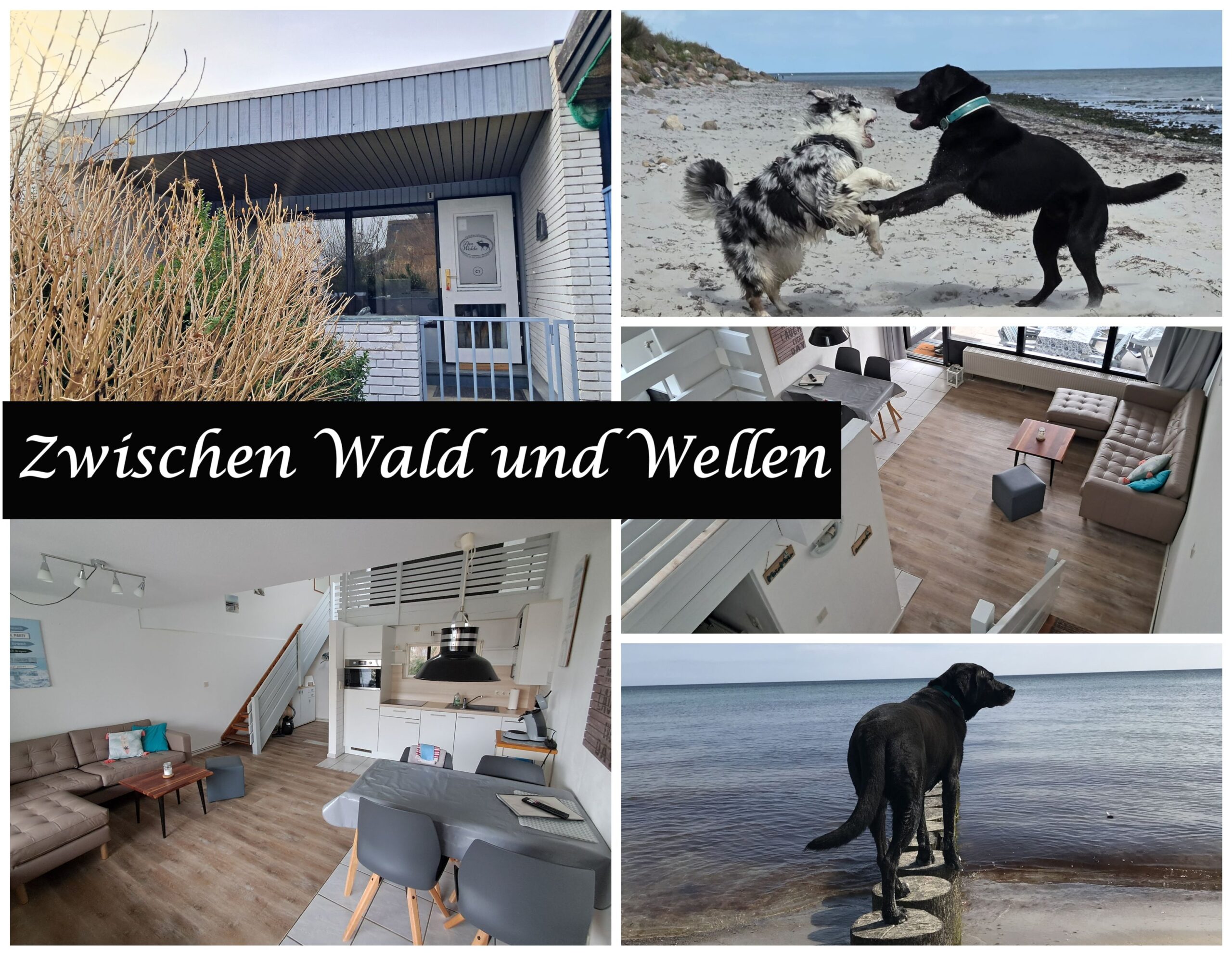 Ferienwohnung C1 – Komfort